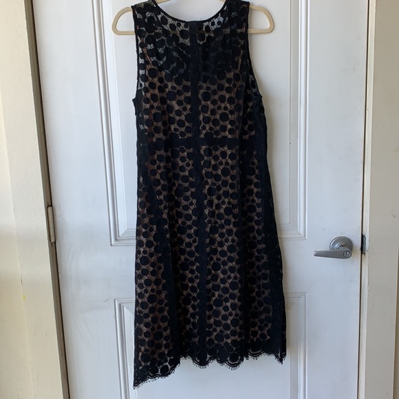 Theory Lined Black Lace Midi Dress sz 12 - Picture 4 of 7